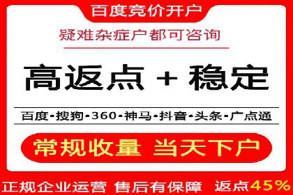 百度竞价广告运营全解析：成功案例揭秘